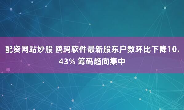 配资网站炒股 鸥玛软件最新股东户数环比下降10.43% 筹码趋向集中