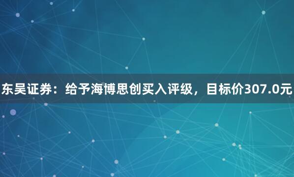东吴证券：给予海博思创买入评级，目标价307.0元