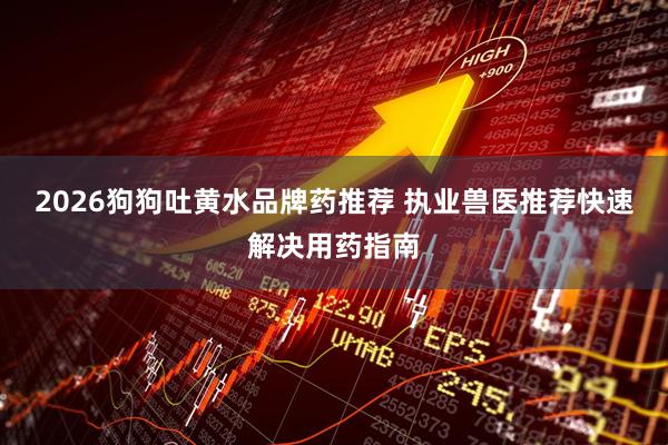 2026狗狗吐黄水品牌药推荐 执业兽医推荐快速解决用药指南