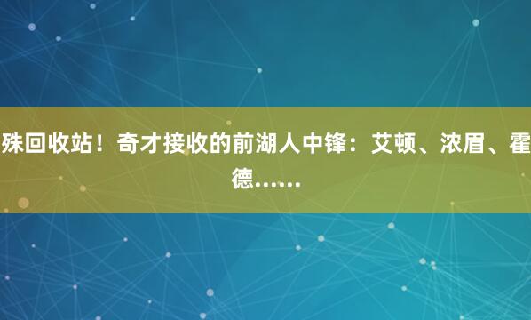 特殊回收站！奇才接收的前湖人中锋：艾顿、浓眉、霍华德......